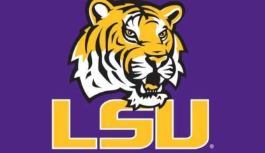 LSU wins 2025 College World Series
