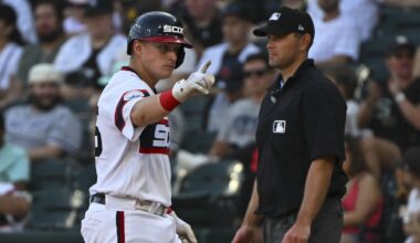 Chicago White Sox Minor League Update: June 8, 2025