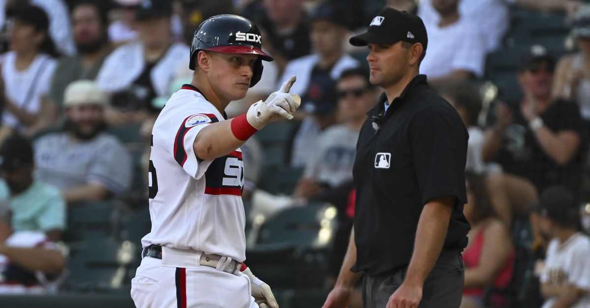 Chicago White Sox Minor League Update: June 8, 2025