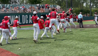 PIAA State Baseball Playoffs: Matchups, schedules, scores, recaps