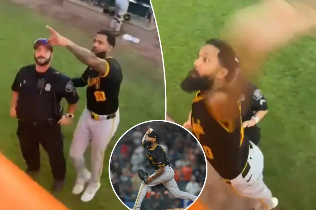 Pirates pitcher Dennis Santana throw a punch at fan from the bullpen