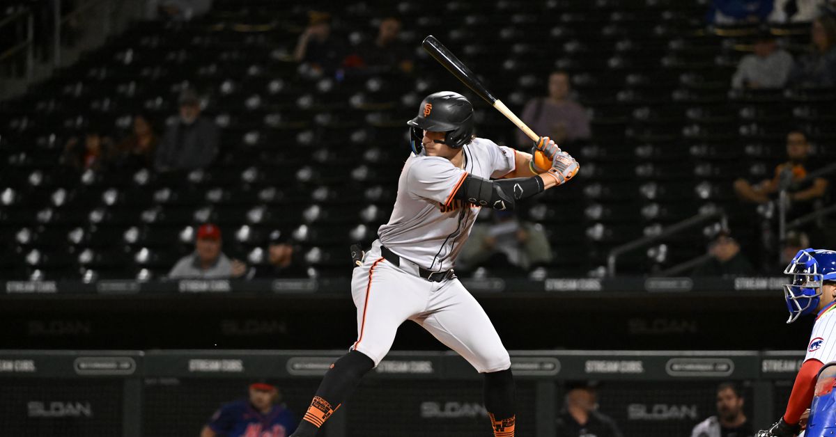 San Francisco Giants Minor League Baseball Roundup, 6/28-29/25