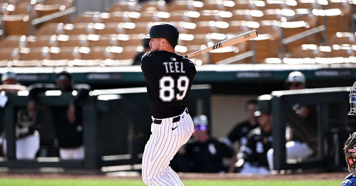 Chicago White Sox Minor League Player of the Month (May 2025): Kyle Teel