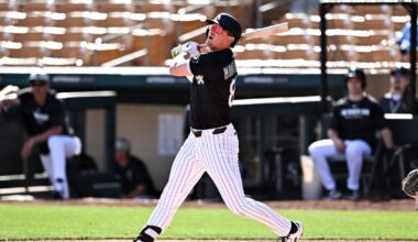 Chicago White Sox Minor League Update: June 26, 2025