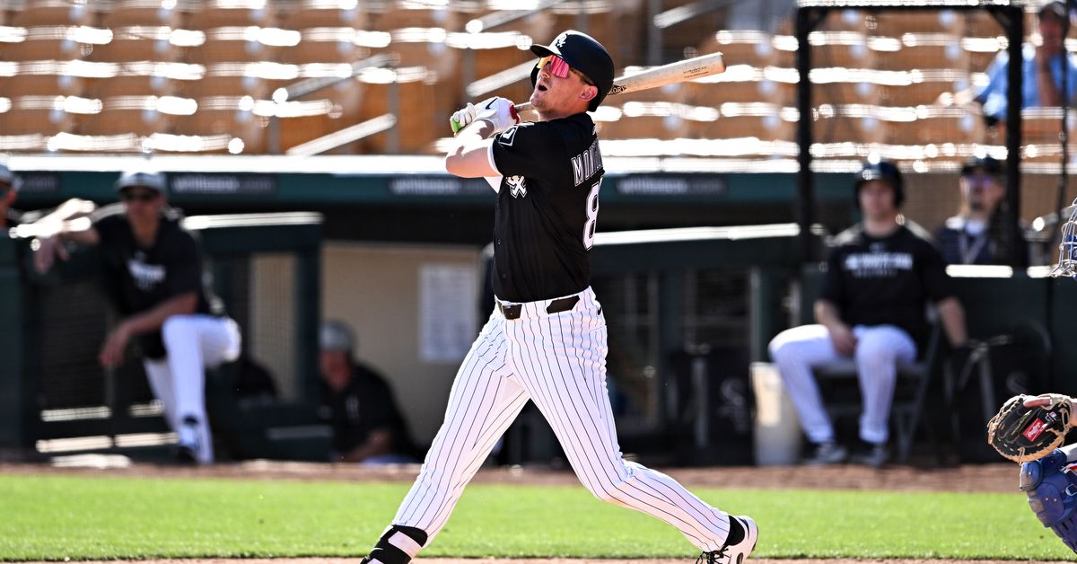 Chicago White Sox Minor League Update: June 26, 2025
