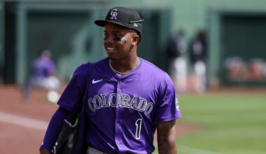 Colorado Rockies recall Adael Amador