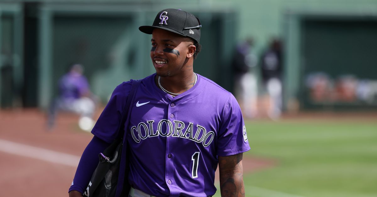 Colorado Rockies recall Adael Amador