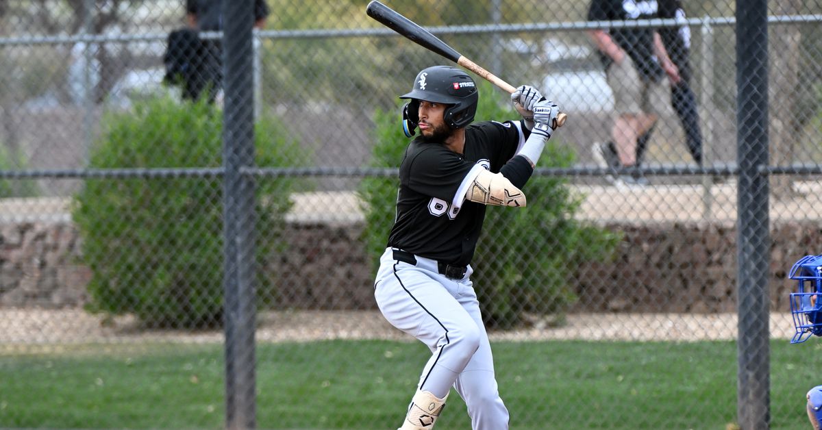 White Sox Minor League Player of the Week (June 2-8, 2025): Samuel Zavala