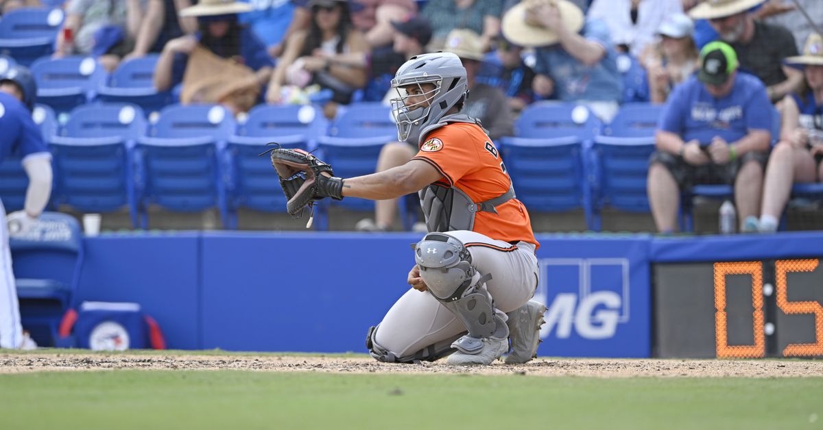 Orioles minor league recap 6/23: Basallo doubles in a Norfolk loss, Chesapeake wins in a blowout 