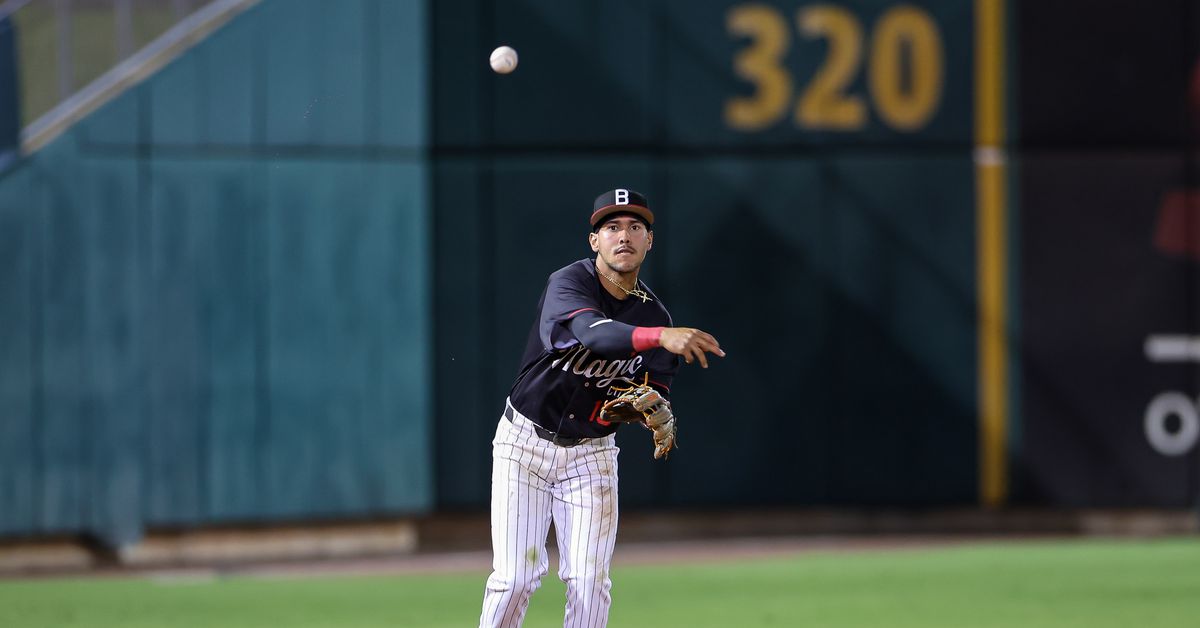 White Sox Weekly Minor League Update: May 26-June 1, 2025