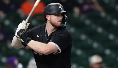 Chicago White Sox Minor League Update: June 22, 2025