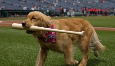 The Hoddle of Coffee: Tottenham Hotspur News and Links for Tuesday, June 17