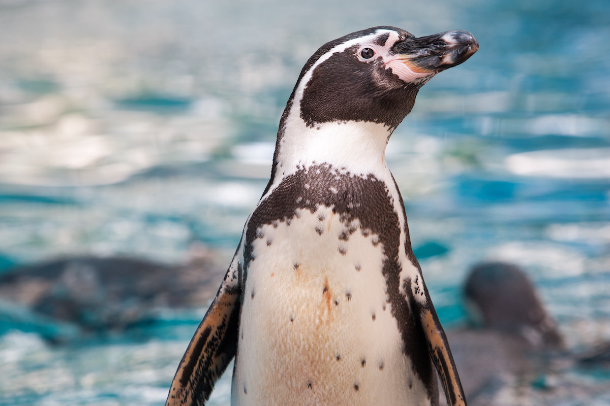 Yahoo lifestyle home