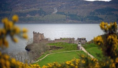 Diamondbacks Gameday Thread, #66: 6/9 vs. Mariners