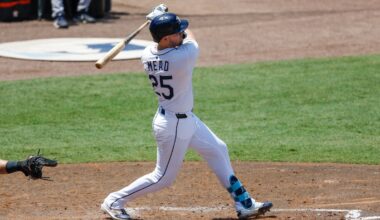 Curtis Mead has quietly rediscovered his hitting stroke for the Rays