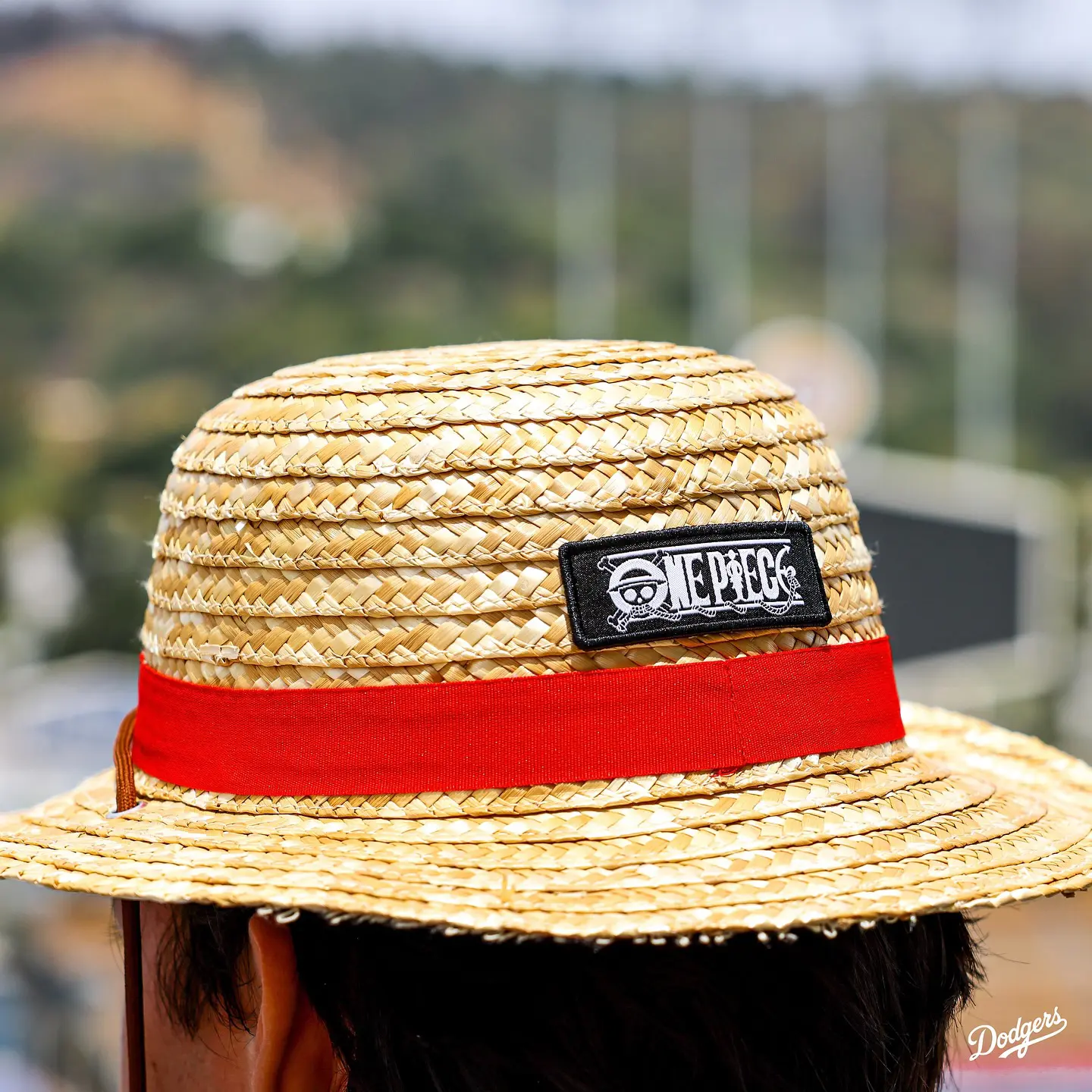 Los Angeles Dodgers Are Hosting an Epic One Piece Night with Exclusive Straw Hat Giveaway | Sports | LIVING LIFE FEARLESS
