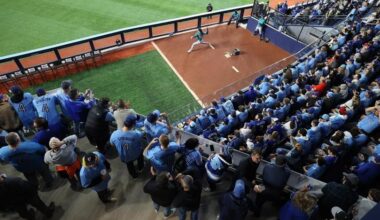 Toronto Blue Jays bullpen have found themselves a new hero
