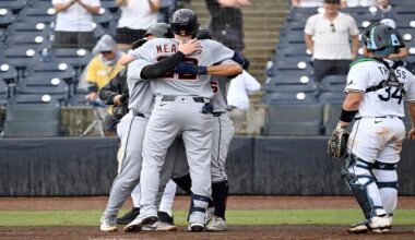 Tampa Bay Rays catcher Matt Thaiss (34) looks away as Detroit Tigers' Parker Meadows celebrates his three-run home run during the ninth inning of a baseball game against the Tampa Bay Rays, Sunday, June 22, 2025, in Tampa, Fla. (AP Photo/Jason Behnken)