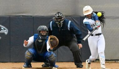 Frankfort puts 7 on All-PVC softball team; Falcons' Noel POY, Root COY | Local Sports