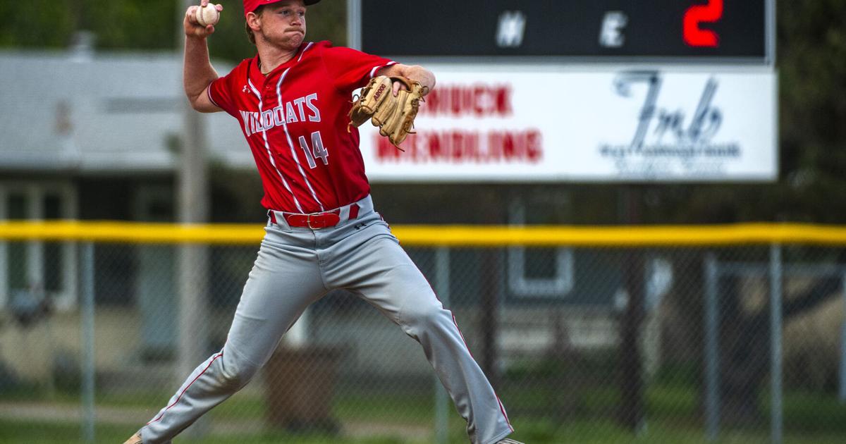 Area baseball standouts earn postseason honors |