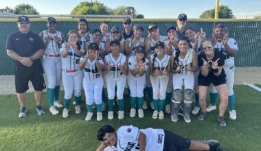 Pioneer Valley cruises into Division 4 regional softball final | High School