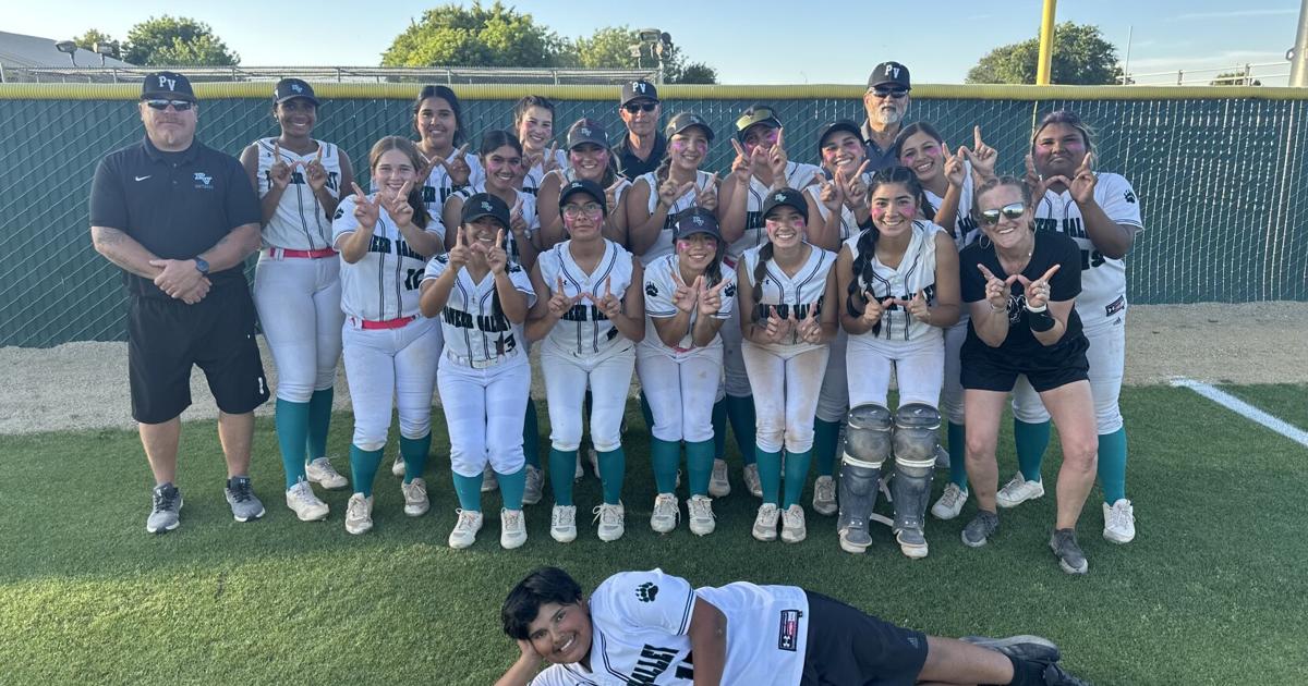 Pioneer Valley cruises into Division 4 regional softball final | High School