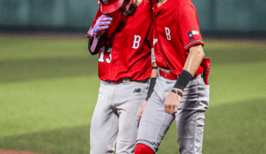 Burton wins one, but drops state semifinal series in deciding game | News