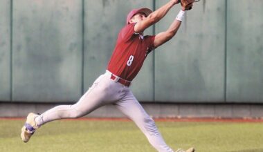 Panthers net four first team all-district nods | News