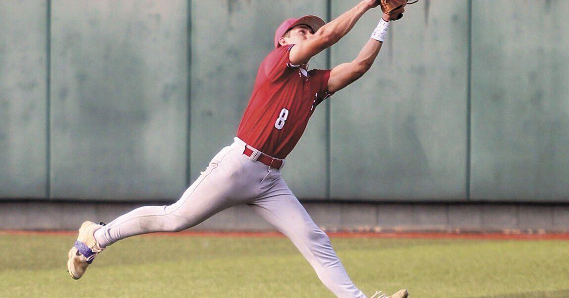 Panthers net four first team all-district nods | News