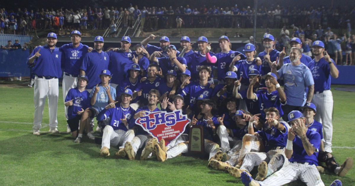 Three Lexington County teams win state titles in baseball, softball | Communities