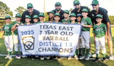 Seven-year-old baseball all-stars win district tournament | State