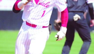 Hornet selected MVP to lead baseball squad | Sports