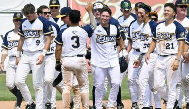 Prospect League Baseball: Bees rally to down CornBelters | The Hawk Eye - Burlington, Iowa