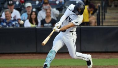 Brandon Lowe’s HR helps Rays take down Rangers | Sports