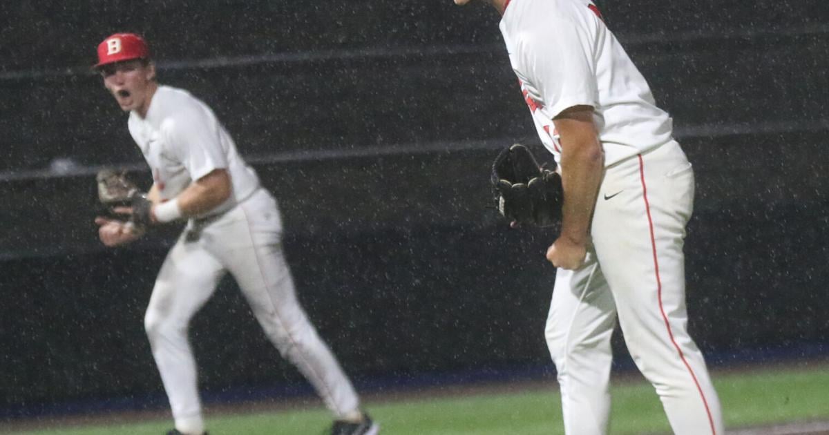State baseball quarterfinals: Delaying tactics: Coleman, Davis deliver again in postseason; Lions endure postponement to earn win | Sports