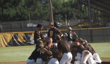 ‘This time I hit it over the outfielder’s head’: Yuba City claims first NorCal D-II Regional championship | Sports