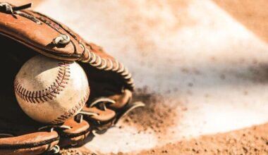 Wayne takes seniors title at Max Grieve wooden bat tourney | Select