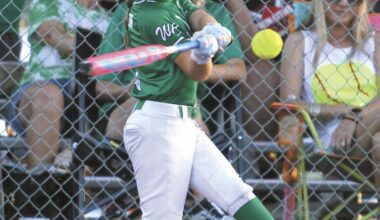 Eight-year-old softball all-stars earn place in district finals | Sports