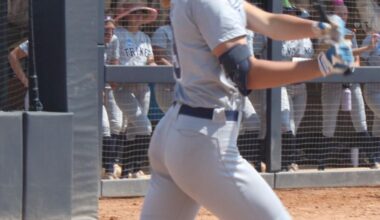 Trine softball receives many awards |