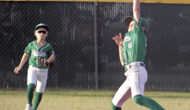 Nine-year-old baseball all-stars roll past Sealy for district title | Sports