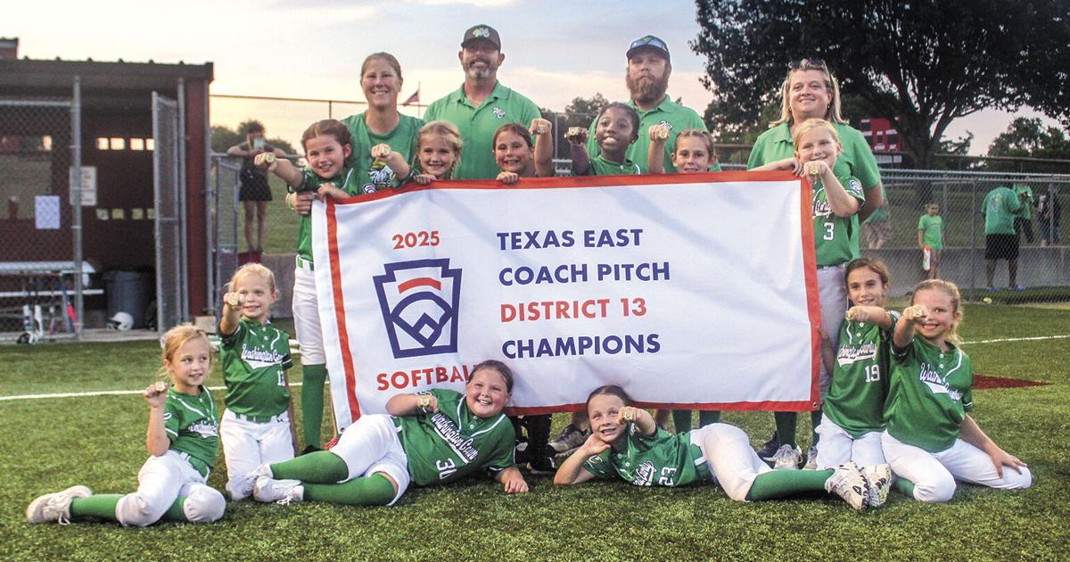 Eight-year-old softball all-stars win district championship | Sports