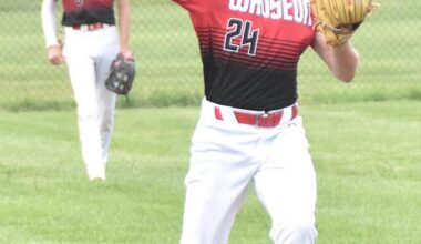 Wauseon blanks Napoleon | Sports