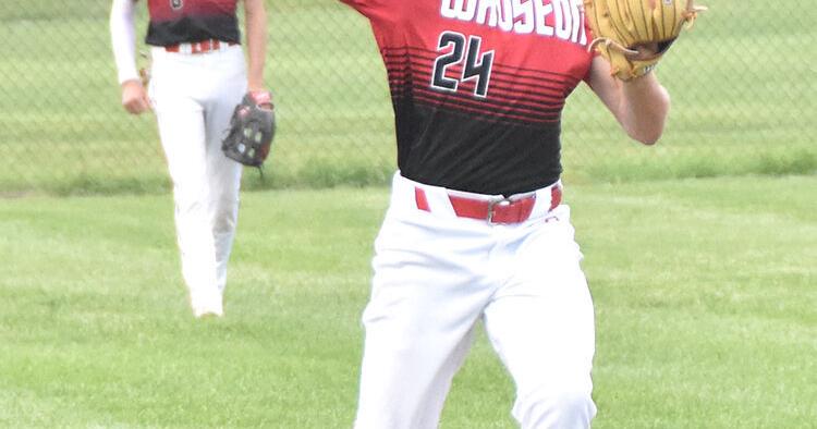 Wauseon blanks Napoleon | Sports