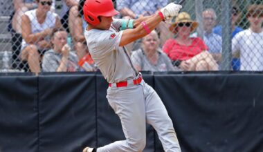 Gainesville duo headline Class 6 all-state baseball team | Sports