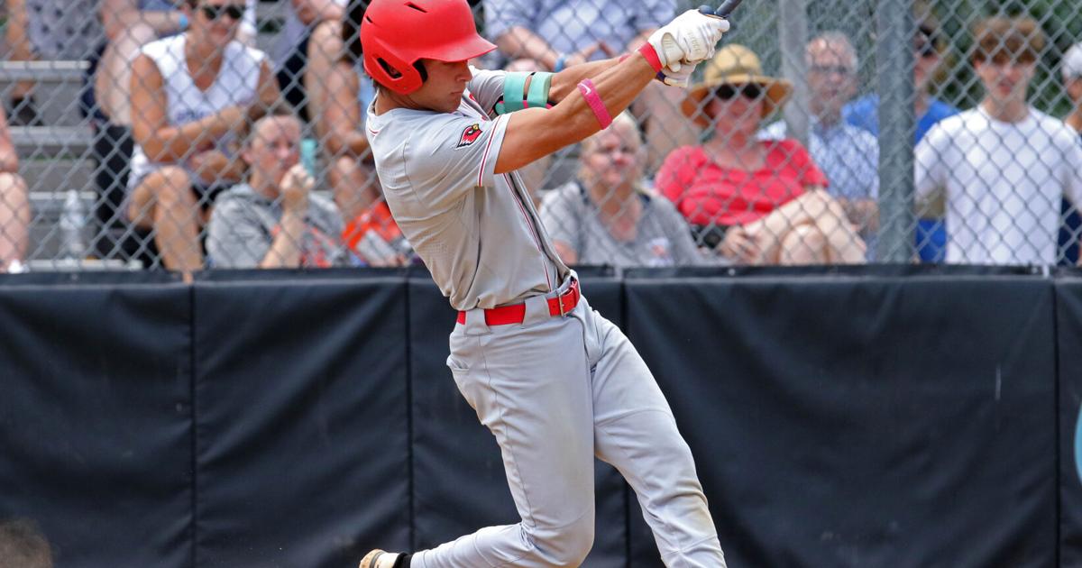 Gainesville duo headline Class 6 all-state baseball team | Sports