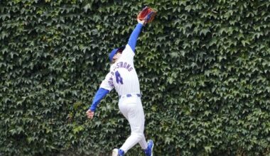 Happ's game-ending single 10th helps Cubs top Pirates | Sports