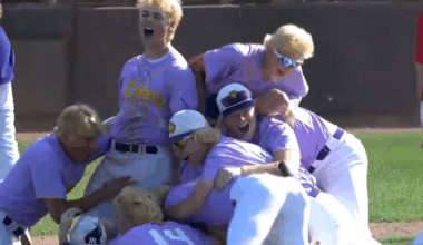 New Berlin Eisenhower walks it off to win D2 State Baseball Championship, 5-4 over Seymour | Sports