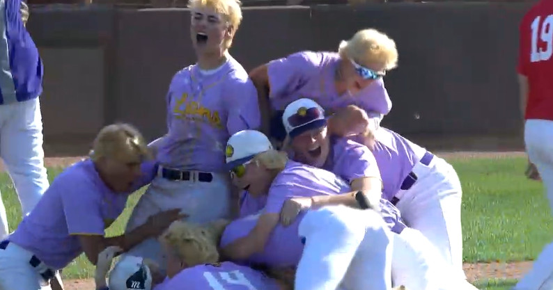 New Berlin Eisenhower walks it off to win D2 State Baseball Championship, 5-4 over Seymour | Sports