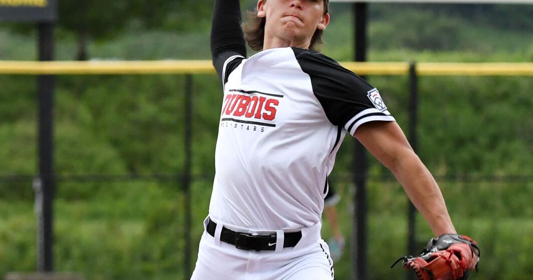 DuBois Seniors enjoy 'perfect' start | Baseball