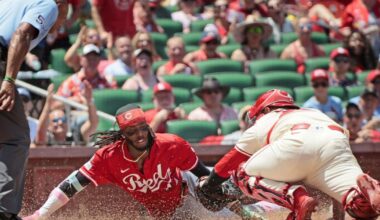 Before Yohel Pozo walk-off, Cardinals got many contributions